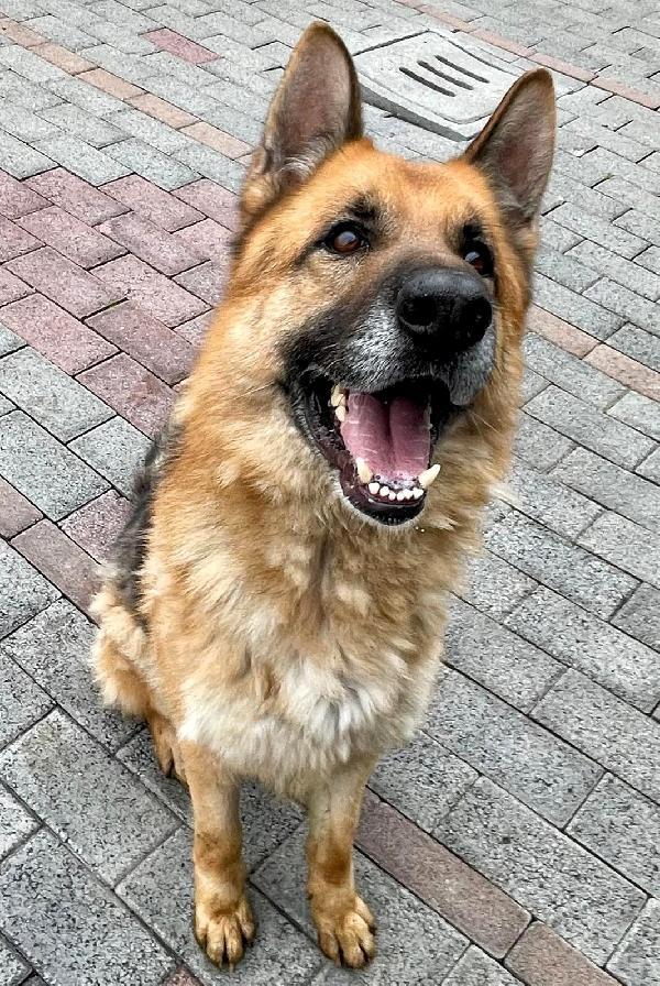 RAMOS PASTORE TEDESCO Foto 8